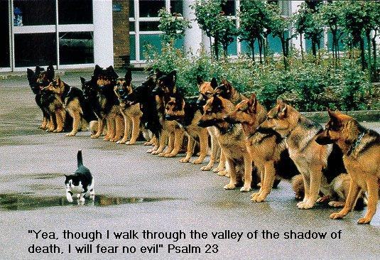 We Fear No Evil